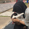 (Category: ) located in . Submitted by aqilahsara32754 (Listing ID 1462081308, Image 1). Description: .
