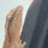 (Category: ) located in . Submitted by bpttledwater (Listing ID 1384978038, Image 1). Description: .