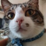 (Category: ) located in . Submitted by awalale (Listing ID 1354463431, Image 1). Description: .