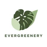 (Category: ) located in . Submitted by evergreenery (Listing ID 1383745235, Image 1). Description: .