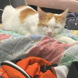 (Category: ) located in . Submitted by mynameiskara (Listing ID 1308632361, Image 1). Description: .