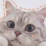 由 yoooolanda (刊登 ID 1385115802，圖片 1) 提交，位於 的 (類別：)，說明：。