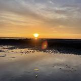 由 joshuawith6723 (刊登 ID 1386324403，圖片 1) 提交，位於 的 (類別：)，說明：。