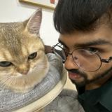 (Category: ) located in . Submitted by topsha (Listing ID 1362859456, Image 1). Description: .