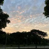 (Category: ) located in . Submitted by yahpot (Listing ID 1383226041, Image 1). Description: .