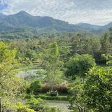 (Category: ) located in . Submitted by Ainanana (Listing ID 1383708857, Image 1). Description: .