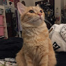 (Category: ) located in . Submitted by sarahhsuhufi (Listing ID 1395130591, Image 1). Description: .