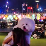 (分類:)位於 。 由 wkc0203 提交(商品編號 1389587484,圖片 1)。簡介: 。
