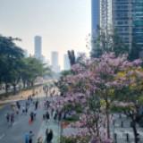 (Kategori: ) berada di . Dikirim oleh doremi4567 (ID iklan 1366310795, Gambar 1). Deskripsi: .