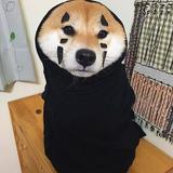 （分類：）位於 。 由 xxxxaaaa3 提交（商品編號 1366002335，圖片 1）。簡介： 。
