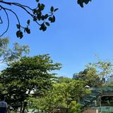 （分類：）位於 。 由 c80138 提交（商品編號 1351843384，圖片 1）。簡介： 。