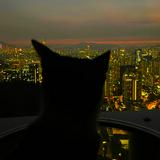 （分類：）位於 。 由 nyeve313 提交（商品編號 1178649622，圖片 1）。簡介： 。
