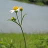 (分類:)位於 。 由 lailhm71262 提交(商品編號 1467919985,圖片 1)。簡介: 。