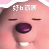 （分類：）位於 。 由 moumoujw 提交（商品編號 1306675844，圖片 1）。簡介： 。