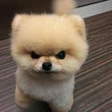 (Category: ) located in . Submitted by theolsy (Listing ID 1449708443, Image 1). Description: .