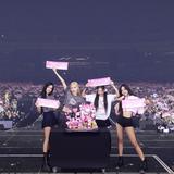 （分類：）位於 。 由 kpopfallguys 提交（商品編號 1272391624，圖片 1）。簡介： 。