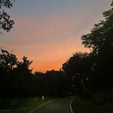(Category: ) located in . Submitted by sleepyjj (Listing ID 1452737958, Image 1). Description: .