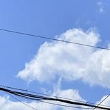（分類：）位於 。 由 syokolla 提交（商品編號 1267250595，圖片 1）。簡介： 。