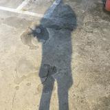 由 khsiny.0801 (刊登 ID 1331035637，圖片 1) 提交，位於 的 (類別：)，說明：。
