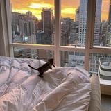 (Category: ) located in . Submitted by kailinai (Listing ID 1366265299, Image 1). Description: .