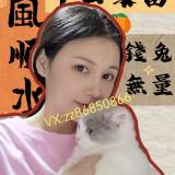 (Category: ) located in . Submitted by coco.defuture (Listing ID 1304338876, Image 1). Description: .