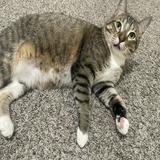 (Category: ) located in . Submitted by justin.zeppelin (Listing ID 1373450236, Image 1). Description: .