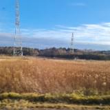 (Category: ) located in . Submitted by mollydollyli (Listing ID 1458363390, Image 1). Description: .