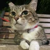 由 ooxx0 (刊登 ID 1360802626，圖片 1) 提交，位於 的 (類別：)，說明：。