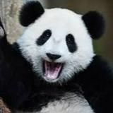 (分類:)位於 。 由 panda4870312 提交(商品編號 1445189791,圖片 1)。簡介: 。