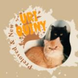(Kategori: ) berada di . Dikirim oleh uriquinyquin (ID iklan 1385193712, Gambar 1). Deskripsi: .