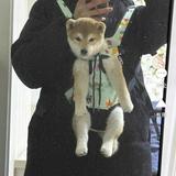 (Category: ) located in . Submitted by stephseth (Listing ID 1363284281, Image 1). Description: .