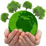 （分類：）位於 。 由 bemoregreen 提交（商品編號 1351857654，圖片 1）。簡介： 。