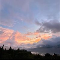 由 bruce.wt.liu (刊登 ID 1385842320，圖片 1) 提交，位於 的 (類別：)，說明：。