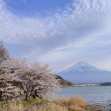 (分類:)位於 。 由 ed___y 提交(商品編號 1455548497,圖片 1)。簡介: 。