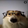 (Category: ) located in . Submitted by ethancorn_ (Listing ID 1375382716, Image 1). Description: .