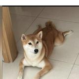 (Category: ) located in . Submitted by inoriaibum (Listing ID 213976684, Image 1). Description: .