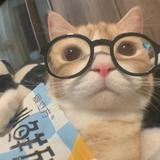 (分類:)位於 。 由 tt7766 提交(商品編號 1458980346,圖片 1)。簡介: 。