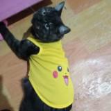 (Category: ) located in . Submitted by abbylorie (Listing ID 1383645198, Image 1). Description: .