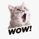 （分類：）位於 。 由 danzin_t 提交（商品編號 1366859672，圖片 1）。簡介： 。