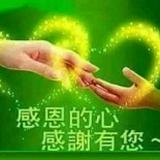 由 life966 (刊登 ID 1385564090，圖片 1) 提交，位於 的 (類別：)，說明：。