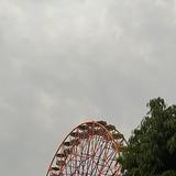 (Kategori: ) berada di . Dikirim oleh mybubbletea (ID iklan 1353086952, Gambar 1). Deskripsi: .