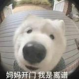 由 x24333079 (刊登 ID 1379650258，圖片 1) 提交，位於 的 (類別：)，說明：。