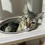 (Category: ) located in . Submitted by birughost (Listing ID 1262765107, Image 1). Description: .