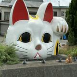 （分類：）位於 。 由 edithmo2023 提交（商品編號 1265688969，圖片 1）。簡介： 。