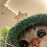 (Category: ) located in . Submitted by kitkatchocolat (Listing ID 1373792098, Image 1). Description: .