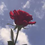 (Kategori: ) berada di . Dikirim oleh mpsya.preloved (ID iklan 1356385063, Gambar 1). Deskripsi: .