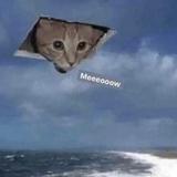 (Category: ) located in . Submitted by order66_ (Listing ID 1377833327, Image 1). Description: .