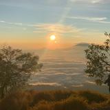 (Kategori: ) berada di . Dikirim oleh cuuancuuan (ID iklan 1351491077, Gambar 1). Deskripsi: .