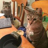 (Category: ) located in . Submitted by agatorr (Listing ID 1350008088, Image 1). Description: .