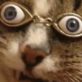 (Category: ) located in . Submitted by brokencasket (Listing ID 1378869864, Image 1). Description: .